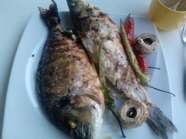 Rezept: 2 Fische und ein Mann oder DAS ist ein Fischteller Bild Nr. 7 2 Fische und ein Mann oder DAS ist ein Fischteller - Rezept - Bild Nr. 7