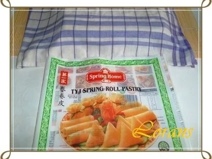 Chinesische Frühlingsrollen mit Hackfleisch - Rezept - Bild Nr. 13