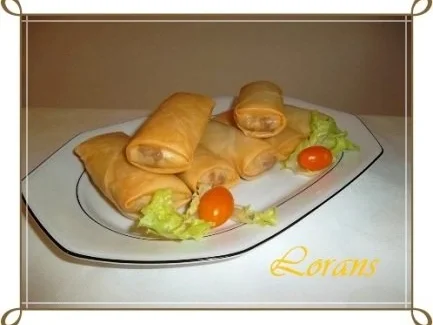 Chinesische Frühlingsrollen mit Hackfleisch - Rezept - Bild Nr. 22