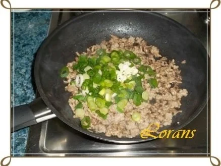 Chinesische Frühlingsrollen mit Hackfleisch - Rezept - Bild Nr. 9