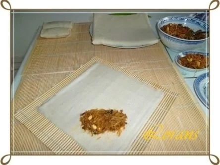 Chinesische Frühlingsrollen mit Hackfleisch - Rezept - Bild Nr. 15