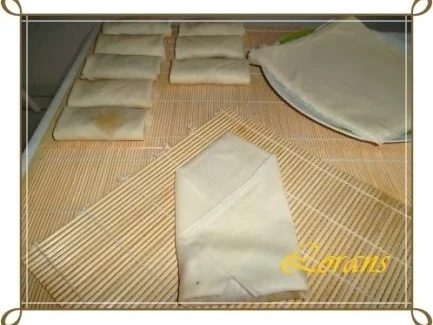 Chinesische Frühlingsrollen mit Hackfleisch - Rezept - Bild Nr. 18