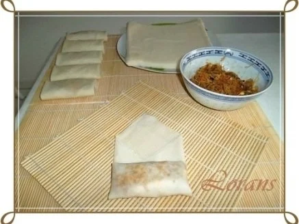 Chinesische Frühlingsrollen mit Hackfleisch - Rezept - Bild Nr. 19