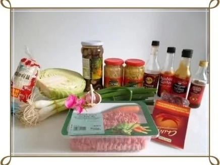 Chinesische Frühlingsrollen mit Hackfleisch - Rezept - Bild Nr. 3