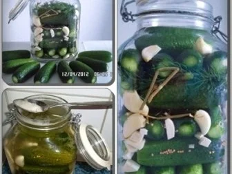 » Saure Gurken selbst eingelegt   « - Rezept - Bild Nr. 7