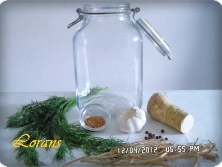 » Saure Gurken selbst eingelegt   « - Rezept - Bild Nr. 2