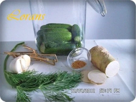 » Saure Gurken selbst eingelegt   « - Rezept - Bild Nr. 5