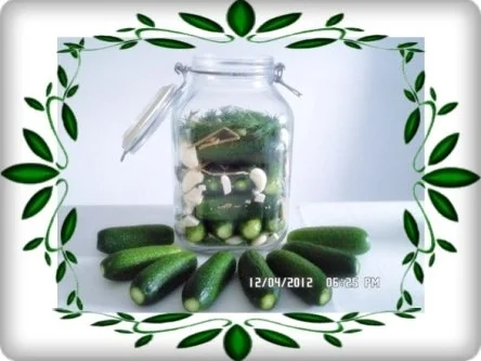 » Saure Gurken selbst eingelegt   « - Rezept