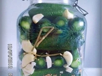 » Saure Gurken selbst eingelegt   « - Rezept - Bild Nr. 6