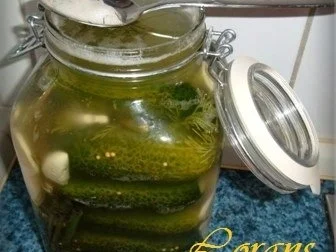 » Saure Gurken selbst eingelegt   « - Rezept - Bild Nr. 11