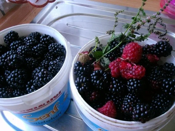 Brombeermarmelade mit  feinen Himbeernote - Rezept - Bild Nr. 2