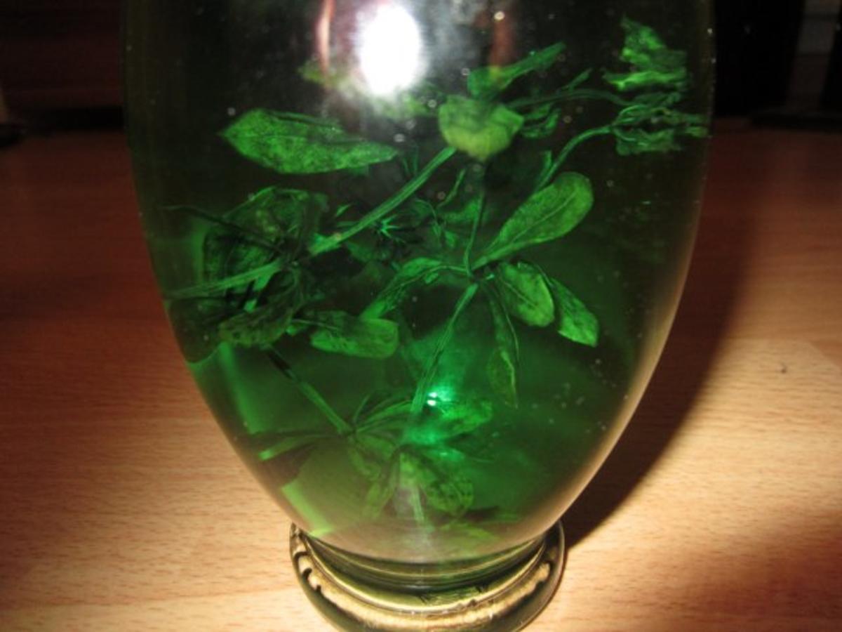 Waldmeister-Schnaps - Rezept - Bild Nr. 2