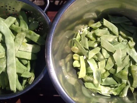 Rezept: Bohnensalat "orientalisch" Bild Nr. 3 Bohnensalat "orientalisch" - Rezept - Bild Nr. 3