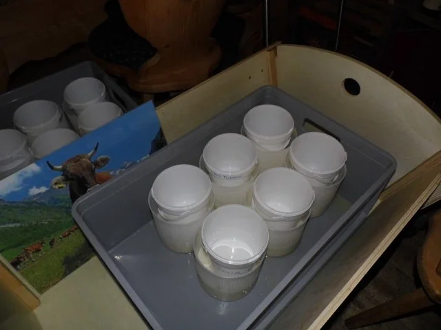 Rezept: Allgäuer - Weichkäse - Feta Art Bild Nr. 13 Allgäuer - Weichkäse - Feta Art - Rezept - Bild Nr. 13