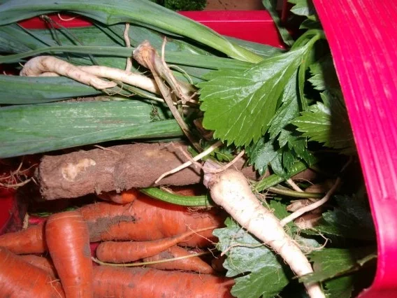 Nudelsuppe vom Brathuhn - Rezept - Bild Nr. 2