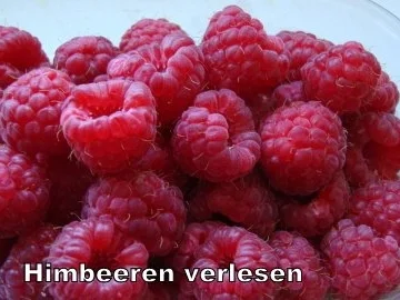 Rezept: Himbeer - Johannisbeer - Zimtblüten Marmelade Bild Nr. 2 Himbeer - Johannisbeer - Zimtblüten Marmelade - Rezept - Bild Nr. 2