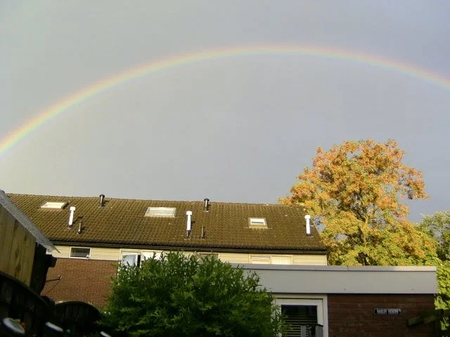 verkehrter Regenbogen-Kuchen - Rezept