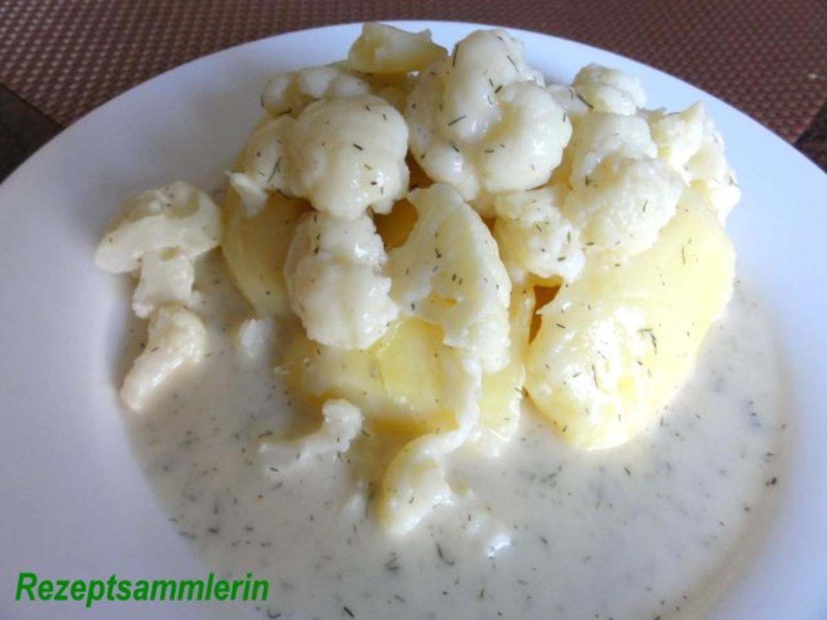 Gemüse: BLUMENKOHL an Bêchamelsauce - Rezept Eingereicht von
Rezeptsammlerin