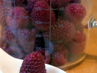 Pudding aus frischen Himbeeren - Rezept - Bild Nr. 2