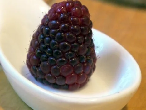 Pudding aus frischen Himbeeren - Rezept - Bild Nr. 3
