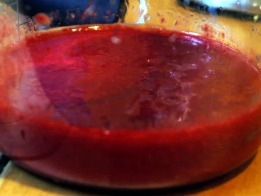 Pudding aus frischen Himbeeren - Rezept - Bild Nr. 5