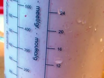 Pudding aus frischen Himbeeren - Rezept - Bild Nr. 6