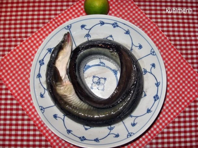 Havel-Aal grün - Rezept - Bild Nr. 2