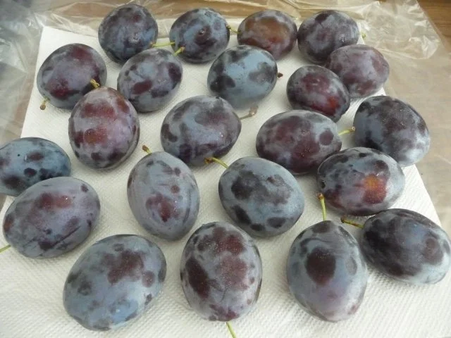 Kuchen : Der Geburtstagskuchen ist angeschnitten... - Rezept - Bild Nr. 4