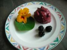 Brombeeressig mit frische Brombeeren und Weißweinessig