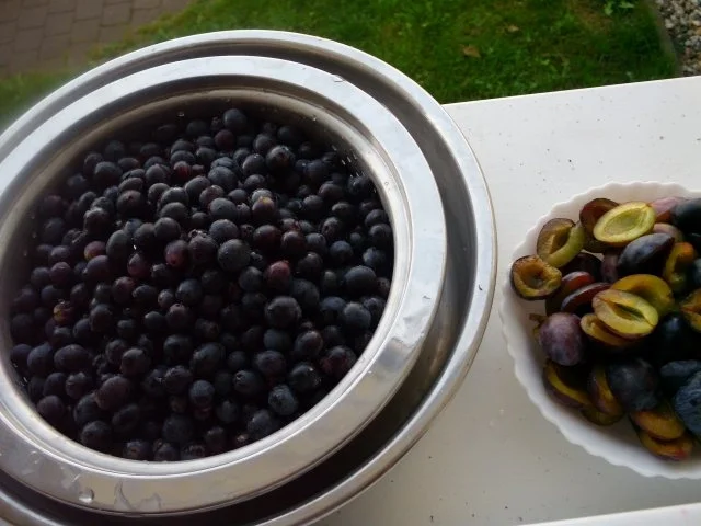 Rezept: Pflaumenspieße mit Weintrauben Bild Nr. 2 Pflaumenspieße mit Weintrauben - Rezept - Bild Nr. 2