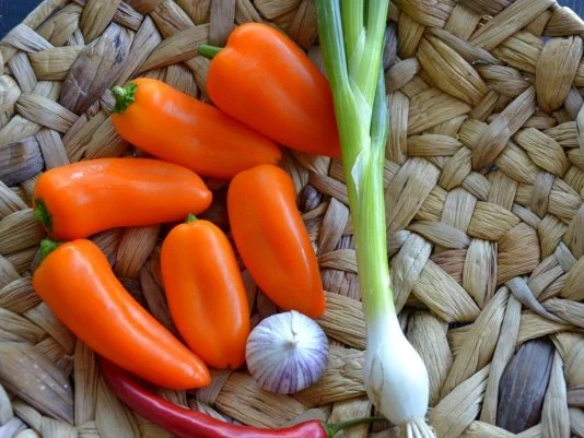 Scharfe Sweetpaprika - Rezept - Bild Nr. 2