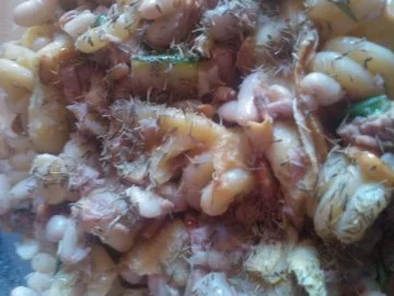 Zucchini-Salat mit Thunfisch - Rezept