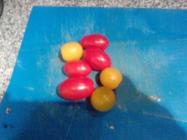 Pan Salsiccia e funghi molto picante  --  Wurstpfanne Salsiccia Picante mit Champis scharf - Rezept - Bild Nr. 12