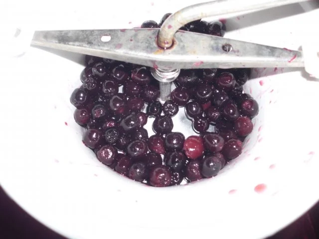 Weintraubenmarmelade - Rezept - Bild Nr. 9