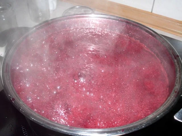 Weintraubenmarmelade - Rezept - Bild Nr. 10