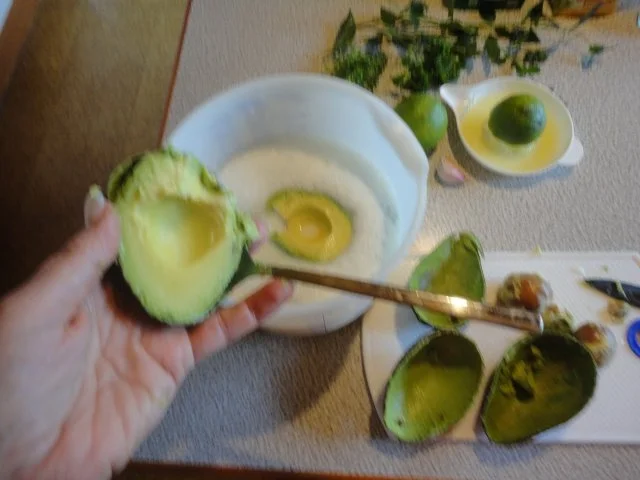 Rezept: geeistes Avocado Süppchen mit Räucher Saibling Bild Nr. 3 geeistes Avocado Süppchen mit Räucher Saibling - Rezept - Bild Nr. 3