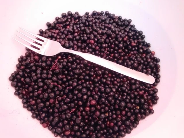 Holunderbeersaft - Rezept - Bild Nr. 4