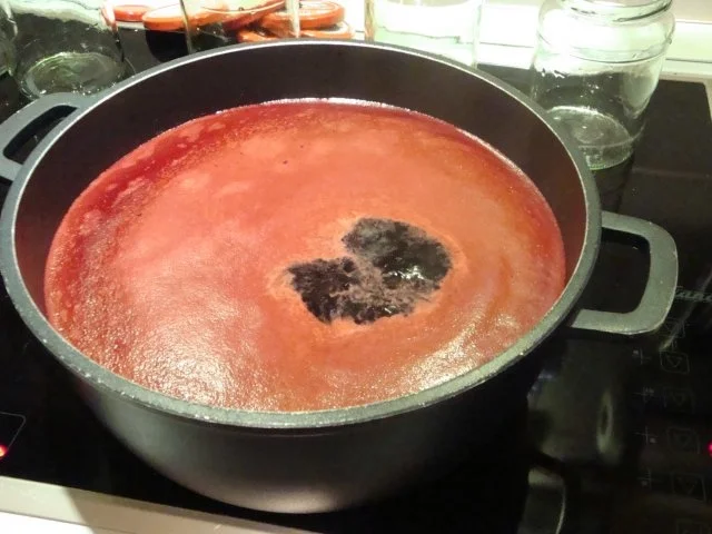 Holunderbeersaft - Rezept - Bild Nr. 12