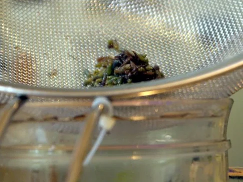 Lavendel-Limonade - Rezept - Bild Nr. 6