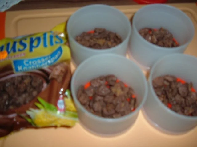 Rezept: Eis : Nektarine Sahneeis mit Pinacolada Bild Nr. 5 Eis : Nektarine Sahneeis mit Pinacolada - Rezept - Bild Nr. 5