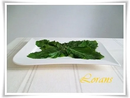 Rezept: Eisbergsalat auf Kohlrabi Blättern mit Thunfisch und …. Bild Nr. 7 Eisbergsalat auf Kohlrabi Blättern mit Thunfisch und …. - Rezept - Bild Nr. 7