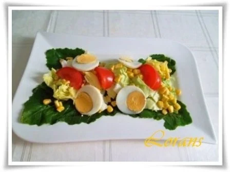 Rezept: Eisbergsalat auf Kohlrabi Blättern mit Thunfisch und …. Bild Nr. 10 Eisbergsalat auf Kohlrabi Blättern mit Thunfisch und …. - Rezept - Bild Nr. 10