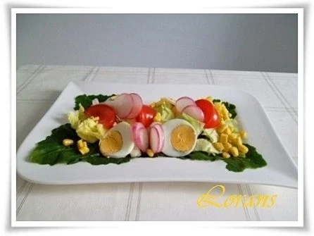 Rezept: Eisbergsalat auf Kohlrabi Blättern mit Thunfisch und …. Bild Nr. 11 Eisbergsalat auf Kohlrabi Blättern mit Thunfisch und …. - Rezept - Bild Nr. 11