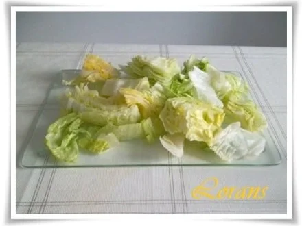 Rezept: Eisbergsalat auf Kohlrabi Blättern mit Thunfisch und …. Bild Nr. 4 Eisbergsalat auf Kohlrabi Blättern mit Thunfisch und …. - Rezept - Bild Nr. 4