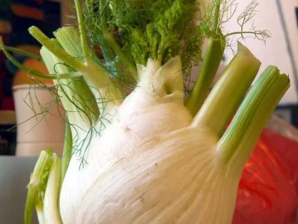 Rezept: Hackfleisch-Fenchel-Topf mit Basmati-Reis Bild Nr. 7 Hackfleisch-Fenchel-Topf mit Basmati-Reis - Rezept - Bild Nr. 7