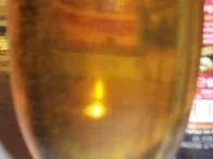 Herrengedeck - Sektpils - Rezept