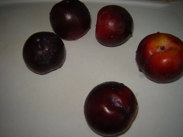 Pflaumenkuchen mit Guss - Rezept - Bild Nr. 3