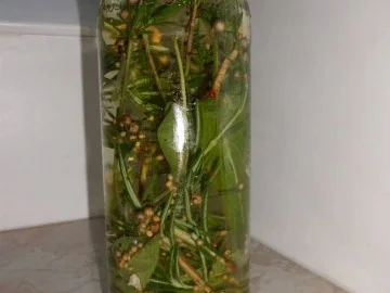 Gewürzöl: Kräuter-Öl - Rezept - Bild Nr. 3