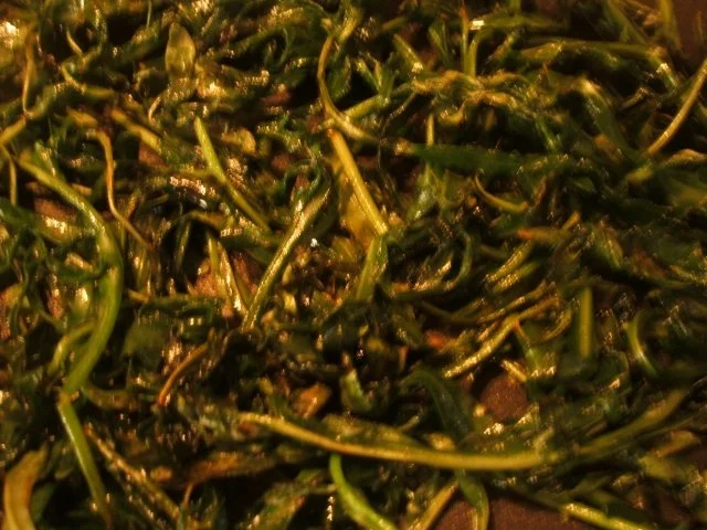 Suppen: Rucola-Rahm-Süppchen - Rezept - Bild Nr. 4