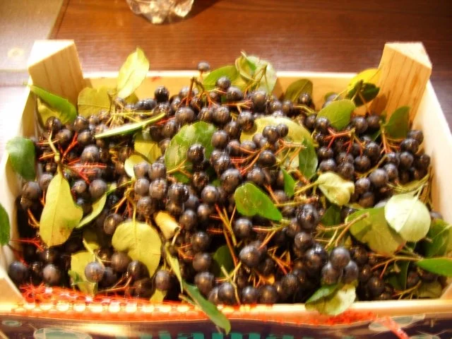Konfitüre & Co: Aronia-Himbeere - Rezept - Bild Nr. 2